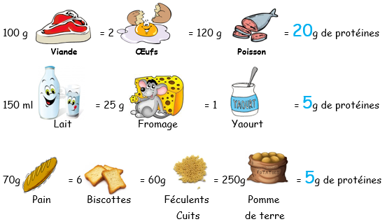 Equivalences Protidiques