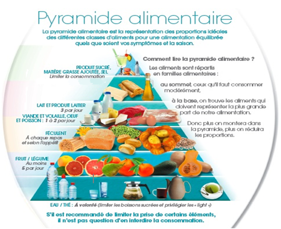 Pyramide Alimentaire